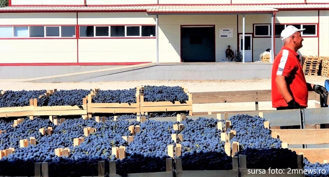 Se lucrează la un studiu de fezabilitate pentru un centru de legume-fructe construit la Mireșu – Mare