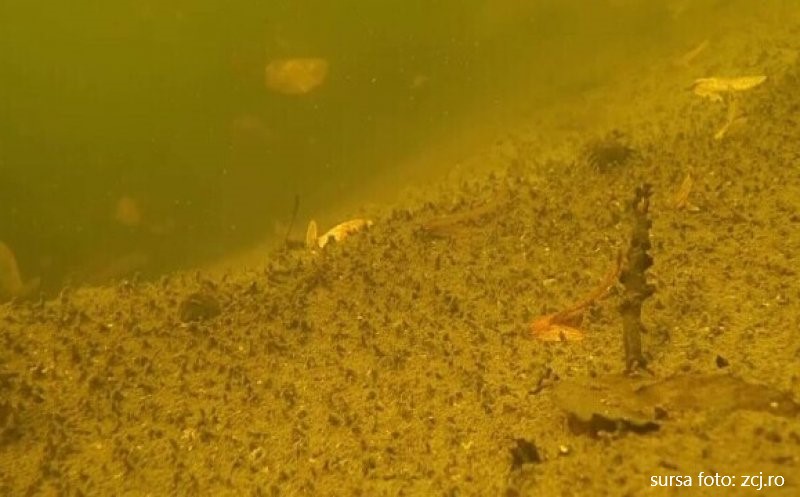 Un biofizician din Cluj-Napoca explorează în premieră cel mai mare lac helioterm din lume