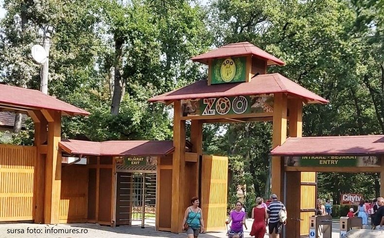 Pentru a face căldura mai ușor de suportat, la Zoo Tărgu Mureș au fost instalate stropitori pe alei