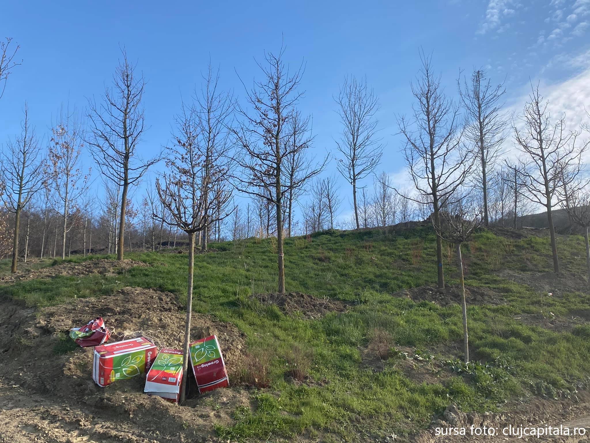 Parcul Tineretului - Pădurea Clujenilor realizat în proporție de 80 la sută va fi finalizat în noiembrie