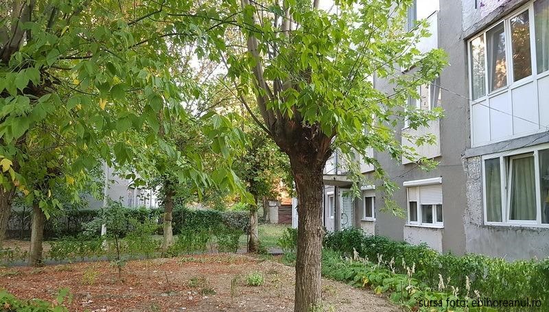 De luna aceasta intră în vigoare noul regulament de întreținere a spațiilor verzi din oraș