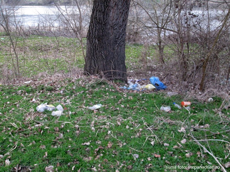 Ecologizare pe malul Mureșului și pădurea de la platou de Ziua Națională de Curățenie