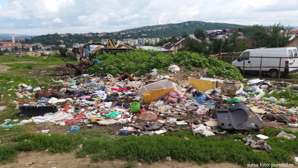 Calea Sighișoarei, pădurea Cornești, malul Mureșului și zona Mureșeni au fost igienizate sâmbătă